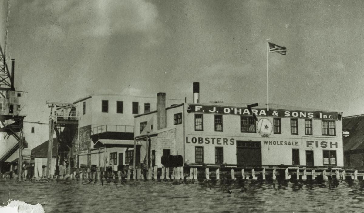 Along the Waterfront Maine Boats Homes & Harbors